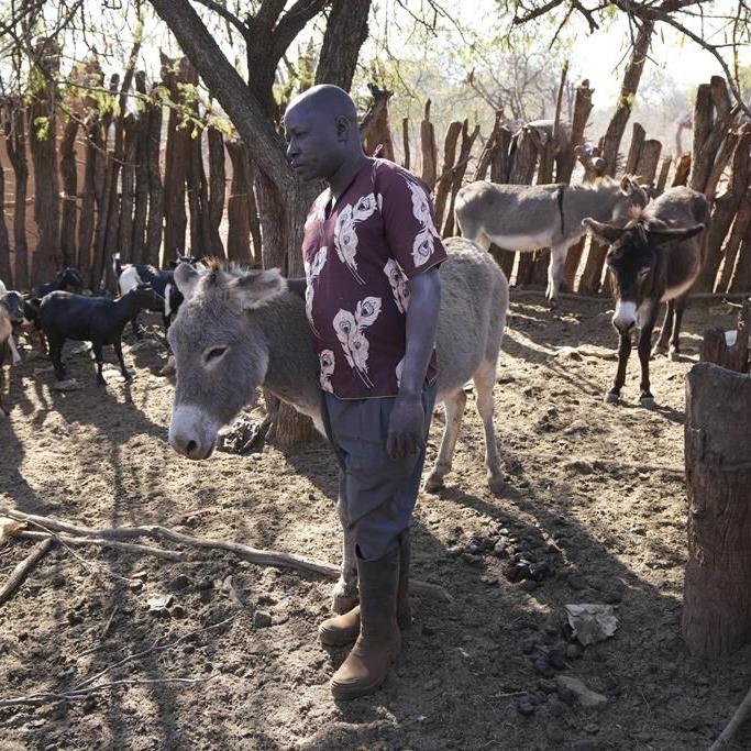 He once poached the wild animals of Zimbabwe. Now he preaches against it
